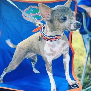 Meet your Posher, Christina